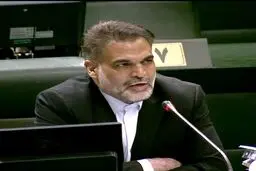 عضو کمیسیون اقتصادی: از اخراج آقازاده‌ها توسط کشورهای خارجی تشکر می‌کنیم