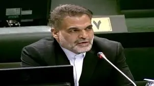 عضو کمیسیون اقتصادی: از اخراج آقازاده‌ها توسط کشورهای خارجی تشکر می‌کنیم
