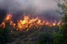 جنگل‌های ارسباران همچنان می‌سوزد 