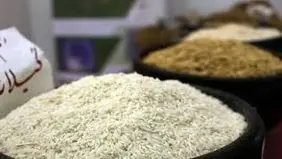 قیمت برنج نزولی شد

