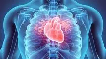 چه زمانی به دکتر متخصص قلب و عروق در یزد و کرمانشاه مراجعه کنیم؟