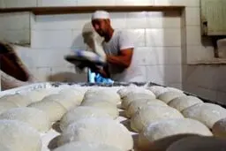 حذف یارانه آرد تکذیب شد