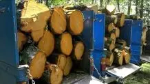 کشف ۱۱ کیلو تریاک آماده توزیع از یک قاچاقچی