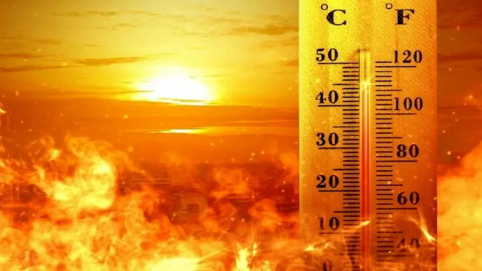 افزایش ۵۰ درجه‌ای دمای هوا در استان بوشهر