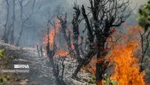 پیش بینی هوای گلستان فردا چهارشنبه 25تیرماه/خطر آتش‌سوزی در کمین جنگل‌ها و مراتع