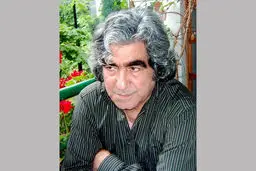 شاعری که سفر کرده بود