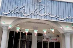 سازمان حمایت، رویکرد حمایت از مصرف‌کننده و تولید‌کننده را کامل کرد