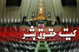 شکایت کمیته حقوق بشر مجلس از آمریکا و اسرائیل