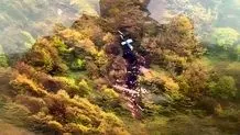 بخشی از بدن شهید رئیسی همچنان در محل حادثه است+ویدئو