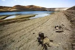 تهران «آب‌دوست» می‌شود