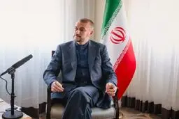 Iran FM describes Vienna talks favorable, successful