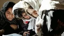 در صورت موافقت آخوندزاده ، آماده پذیرش دانشجویان دختر در دانشگاه‌ ها هستیم