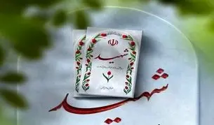 سرگرد توحید مهرپور به شهادت رسید + عکس