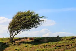 پیش بینی هوای لرستان و خرم آباد؛ یکشنبه ۲۰ اردیبهشت ۱۴۰۵/ وزش باد شدید همراه با ابر