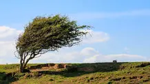 پیش بینی هوای لرستان و خرم آباد؛ یکشنبه ۲۰ اردیبهشت ۱۴۰۵/ وزش باد شدید همراه با ابر