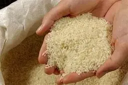 راز برنج‌های تقلبی فاش شد؛ این محصول از کجا وارد می‌شود؟