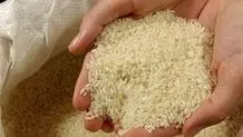 عرضه برنج وارداتی مشروط شد