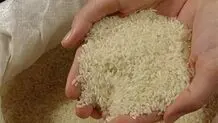 راز برنج‌های تقلبی فاش شد؛ این محصول از کجا وارد می‌شود؟