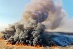 سوختگی جوان ۳۶ ساله در آتش سوزی تالاب میقان