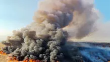 سوختگی جوان ۳۶ ساله در آتش سوزی تالاب میقان