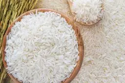کشف ژن شگفت‌انگیز  برنج

