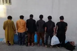 ۱۷۲ تبعه افغانستانی غیرمجاز در زهک بازداشت شدند