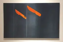 نگاهی به ساختار شبکه‌ای پیش‌فرم و فرم

