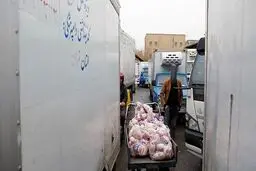 افزایش قیمت مرغ‌ و خرید و فروش در کوچه‌ پس‌کوچه‌های اطراف میدان بهمن‌


