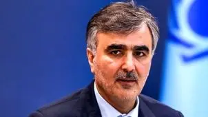 سرنوشت فرزین بعد از بانک مرکزی چه شد؟