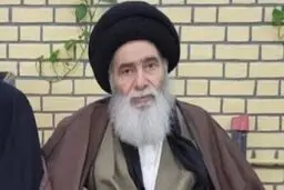 آیت الله سیدهادی سیستانی درگذشت