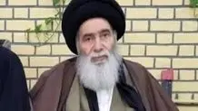 آیت الله سیدهادی سیستانی درگذشت