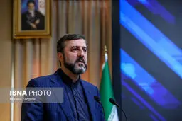 غریب‌آبادی: تیم فنی آژانس به ایران خواهد آمد