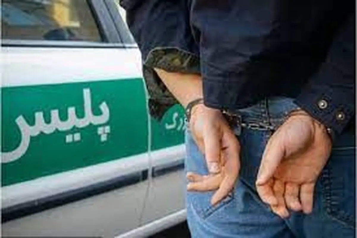 دستگیری ۲ نفر به اتهام کلاهبرداری و سوءاستفاده از شهروندان در پوشش وام فوری


