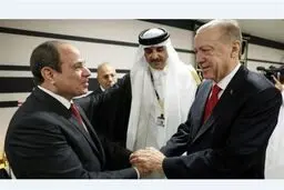 سازمان اخوان المسلمین در ترکیه: اردوغان تضمین داد که اخراجمان نمی‌کند​
