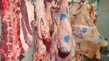 کشتار غیرمجاز دام، منبع شیوع تب کریمه کنگو