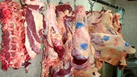 کشتار غیرمجاز دام، منبع شیوع تب کریمه کنگو