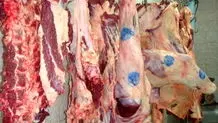 علائم اولیه تب کریمه کنگو را جدی بگیرید؛ مراقبت‌ها و اقدامات پیشگیرانه