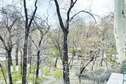 خواب جدید زاکانی برای بوستان‌های تهران