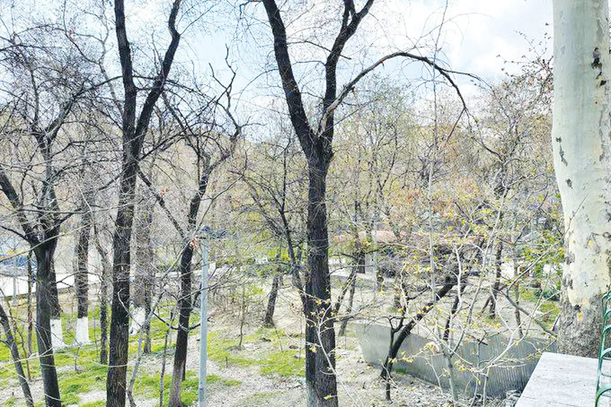 خواب جدید زاکانی برای بوستان‌های تهران