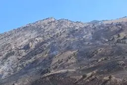 مراتع درگز آتش گرفت + جزییات 