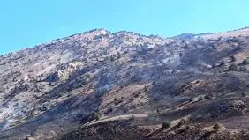 مراتع درگز آتش گرفت + جزییات 