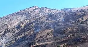 مراتع درگز آتش گرفت + جزییات 