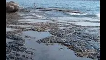 پاکسازی آلودگی نفتی سواحل جنوب قشم ادامه دارد