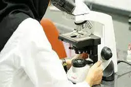 نابودی رشته پاتولوژی کلید خورد
