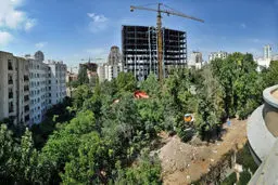 کابوس درختان تهران