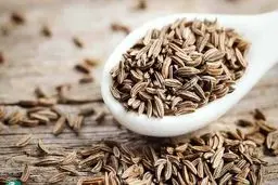 گیاهی با قدرت درمانی فوق‌العاده؛ خواص ضدسرطان این دارو تأیید شد