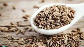گیاهی با قدرت درمانی فوق‌العاده؛ خواص ضدسرطان این دارو تأیید شد