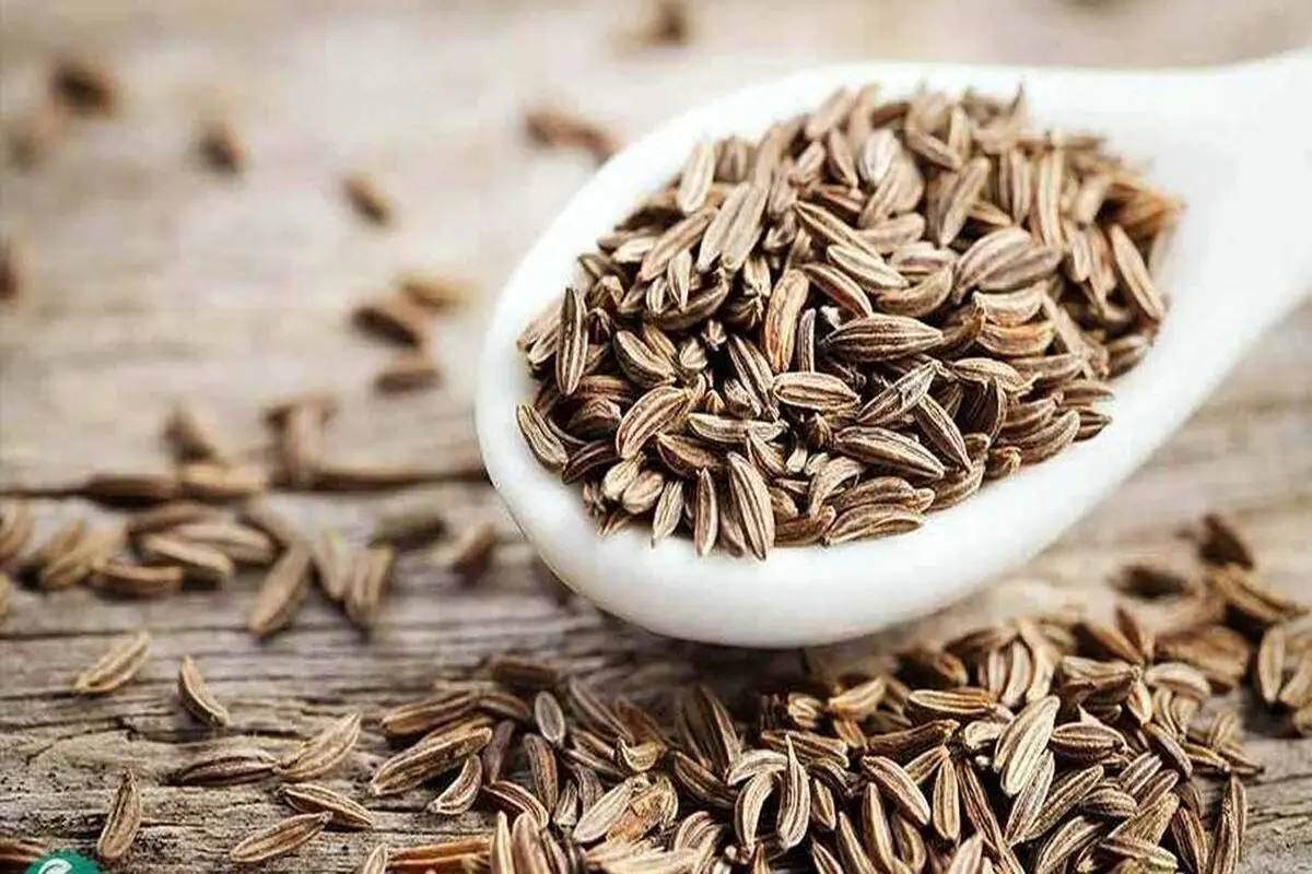 گیاهی با قدرت درمانی فوق‌العاده؛ خواص ضدسرطان این دارو تأیید شد
