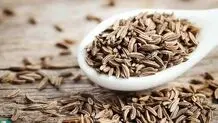 گیاهی با قدرت درمانی فوق‌العاده؛ خواص ضدسرطان این دارو تأیید شد