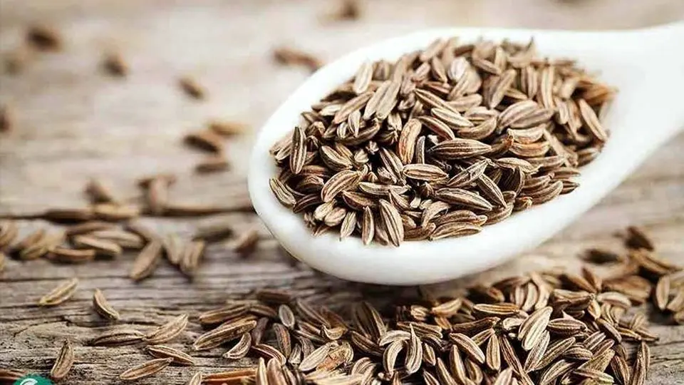 گیاهی با قدرت درمانی فوقالعاده؛ خواص ضدسرطان این دارو تأیید شد
